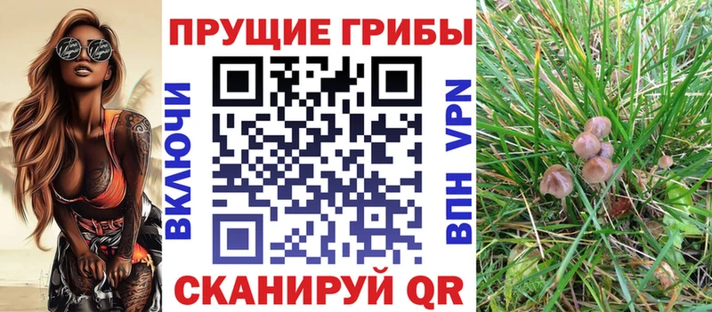 Галлюциногенные грибы MAGIC MUSHROOMS  дарнет шоп  Усть-Кут 